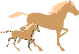 Odrka